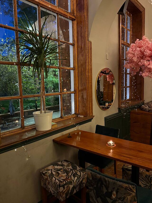 A tall timber window hung with fairy lights and a potted palm, looking onto the garden at dusk.